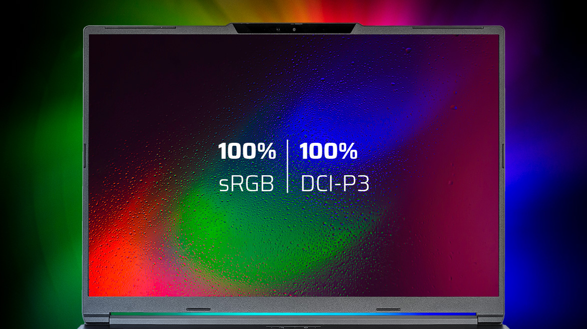 Gaming Laptop sRGB detail